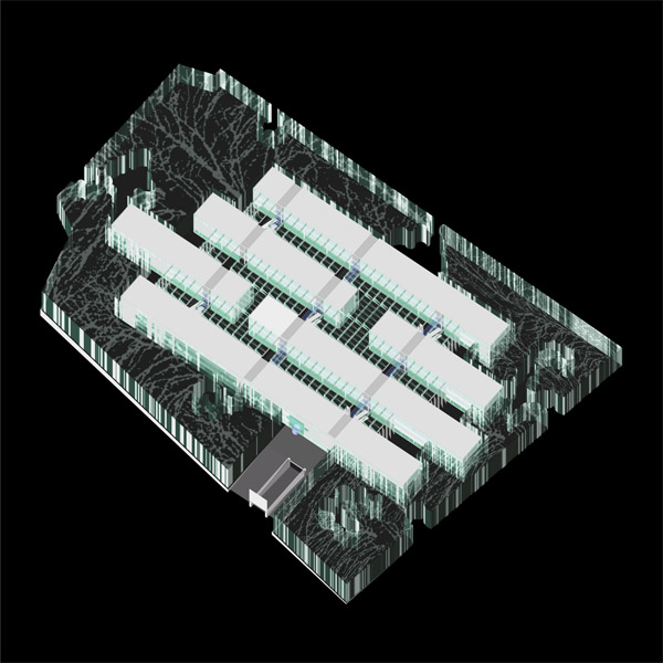036_02
