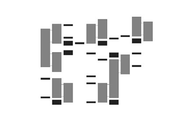 103_t